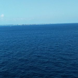 Meet your Posher, Antoinette